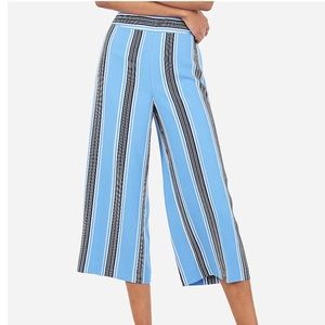 NEW Super High Waisted Vertical Striped Culottes